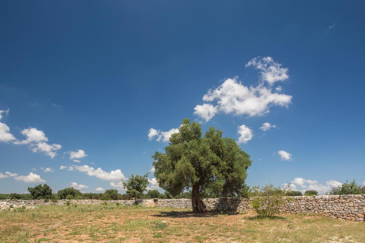 צ'לייה מספיקה Masseria Castelluzzo מראה חיצוני תמונה